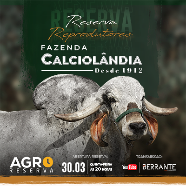 Reserva Reprodutores Gir Leiteiro Calciolândia - Agro Reserva