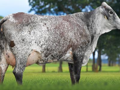 Registro: 5901CK - TEMIDA FIV CAL