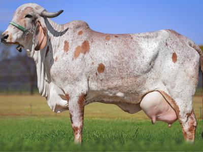 Registro: CAL14314 - Sortida  Fiv Cal