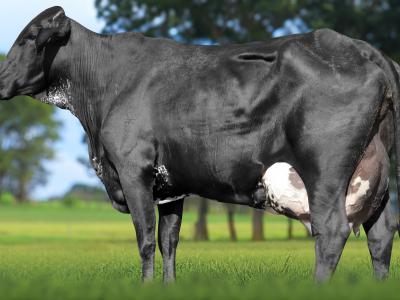 Registro: 6853CG - TEOLOGIA FIV CAL