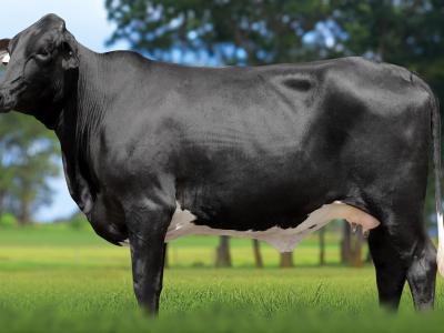 Registro: 4147CH - VALVULA FIV CAL